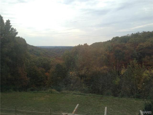 1616 Old State Rd, Glencoe, MO 63038 photo 30