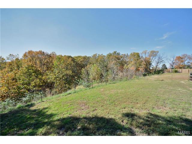 1616 Old State Rd, Glencoe, MO 63038 photo 25