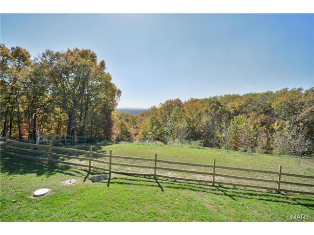 1616 Old State Rd, Glencoe, MO 63038 photo 24