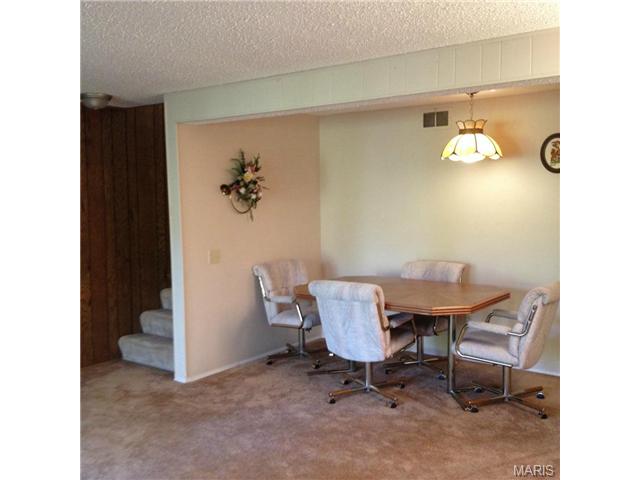 733 Knickerbacker Dr, Ballwin, MO 63021 photo 20