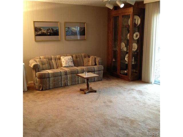 733 Knickerbacker Dr, Ballwin, MO 63021 photo 21