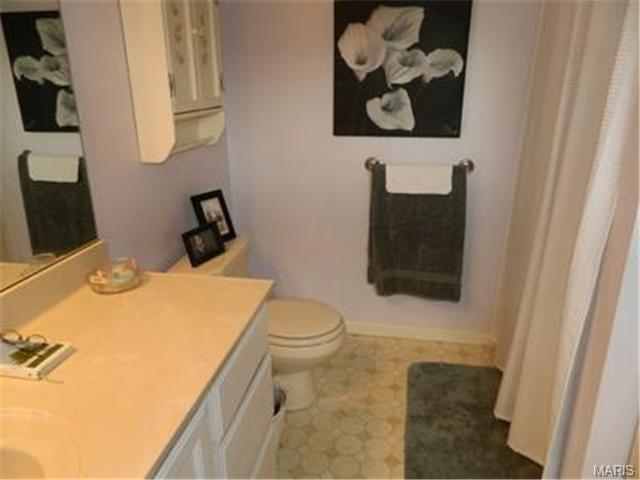 520 Maureen, Eureka, MO 63025 photo 15