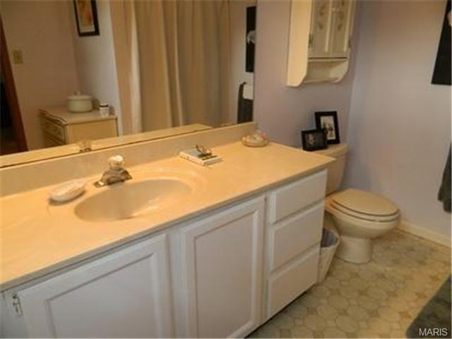 520 Maureen, Eureka, MO 63025 photo 16