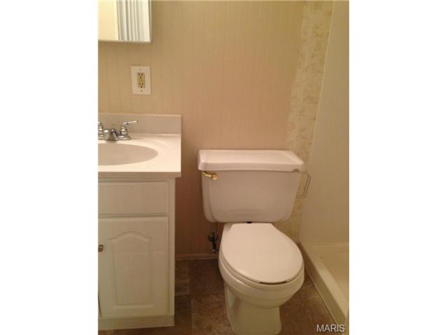 407 Fire Tree, O'fallon, MO 63368 photo 13
