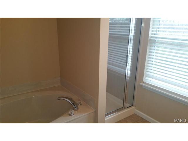 220 Spring Borough, O'fallon, MO 63368 photo 18