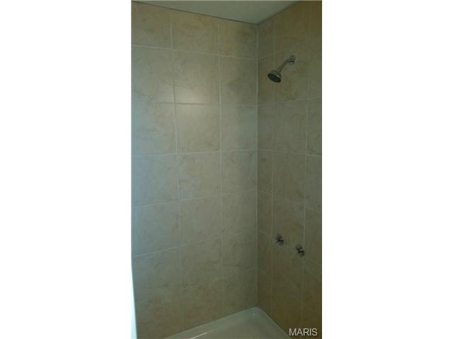 220 Spring Borough, O'fallon, MO 63368 photo 24