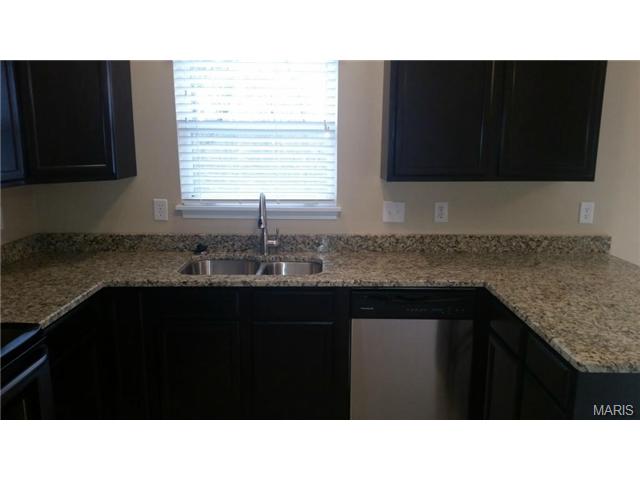 220 Spring Borough, O'fallon, MO 63368 photo 9