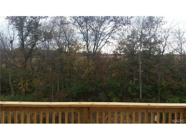 220 Spring Borough, O'fallon, MO 63368 photo 13