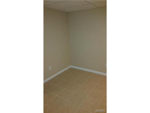 220 Spring Borough, O'fallon, MO 63368 photo 25