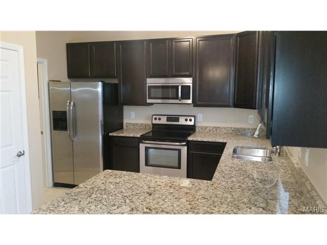 220 Spring Borough, O'fallon, MO 63368 photo 8