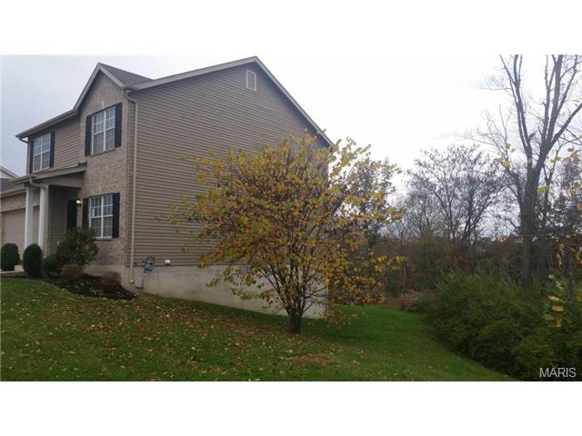 220 Spring Borough, O'fallon, MO 63368 photo 29