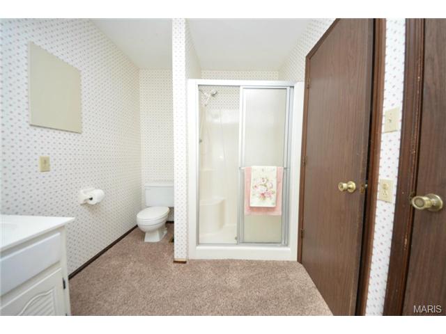 12021 Clichy Ln, Bridgeton, MO 63044 photo 17