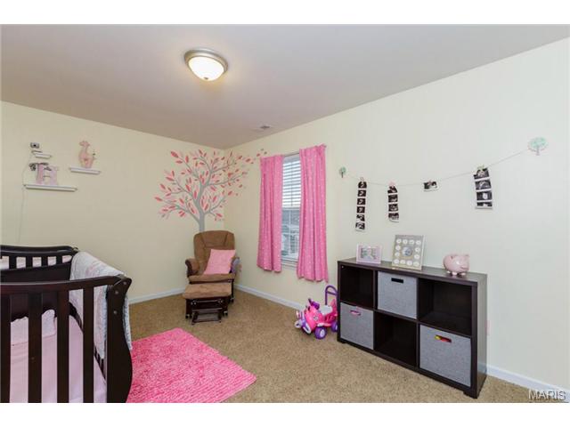 310 Wild Oak Dr, O'fallon, MO 63368 photo 16