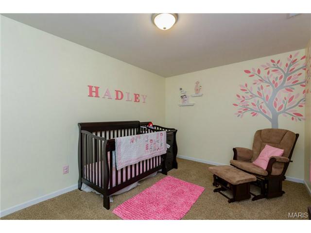 310 Wild Oak Dr, O'fallon, MO 63368 photo 17