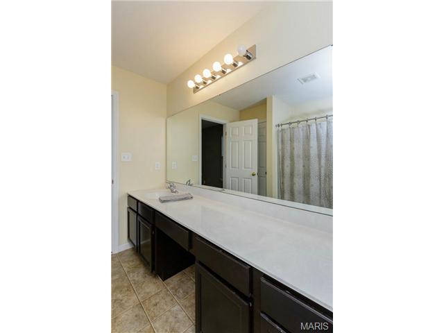 310 Wild Oak Dr, O'fallon, MO 63368 photo 15