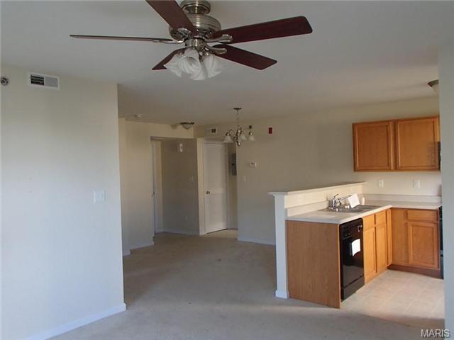 11100 Spring Creek Ln, O'fallon, MO 63368 photo 5