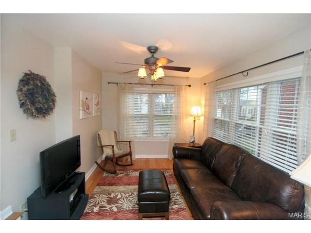 6933 Plainview Ave, Saint Louis, MO 63109 photo 14