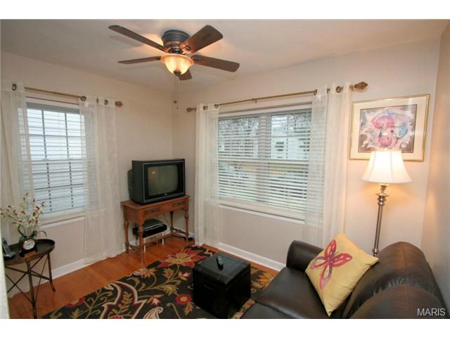 6933 Plainview Ave, Saint Louis, MO 63109 photo 25
