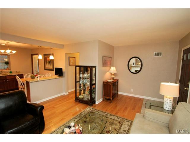 6933 Plainview Ave, Saint Louis, MO 63109 photo 6
