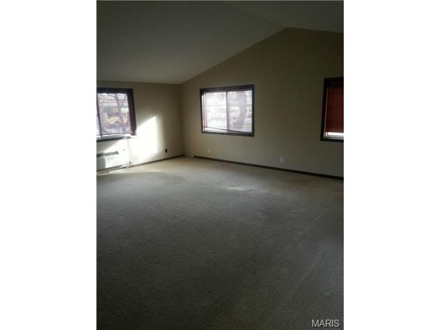97 Irene, Ellisville, MO 63011 photo 2