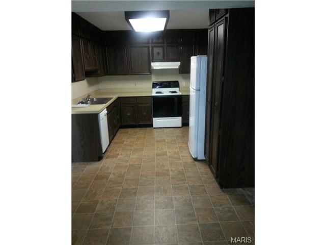97 Irene, Ellisville, MO 63011 photo 5