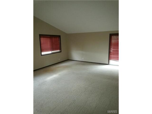 97 Irene, Ellisville, MO 63011 photo 3