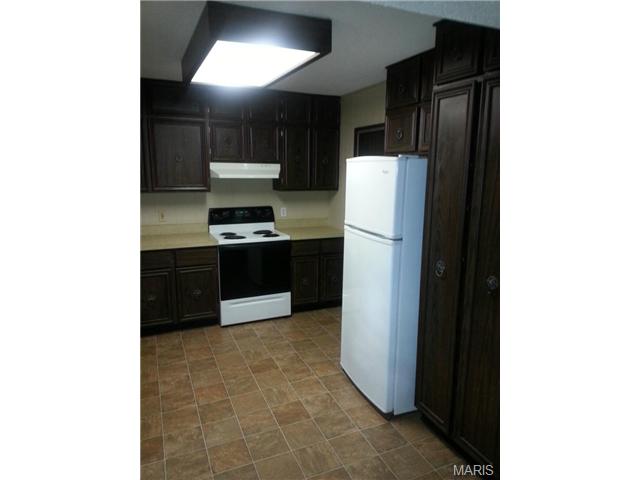 97 Irene, Ellisville, MO 63011 photo 4
