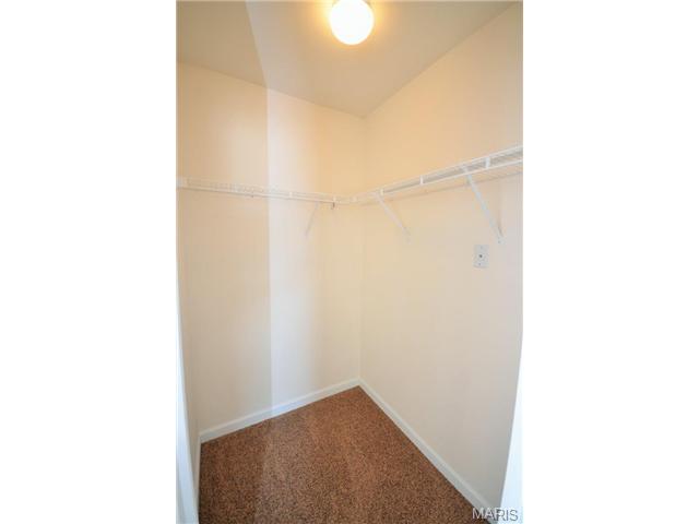 54 Timber Oaks Trl, O'fallon, MO 63368 photo 8