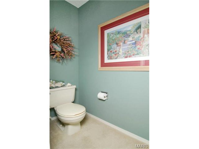 1021 Pocono, Ballwin, MO 63021 photo 12