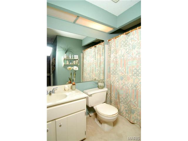 1021 Pocono, Ballwin, MO 63021 photo 22