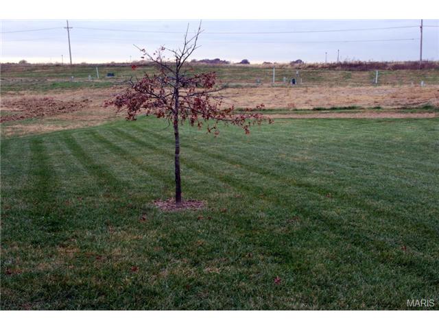 609 Lazy River Ct, O'fallon, MO 63366 photo 6