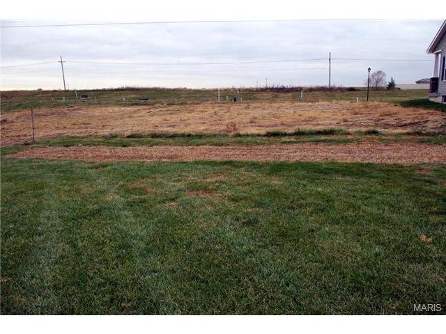 609 Lazy River Ct, O'fallon, MO 63366 photo 41