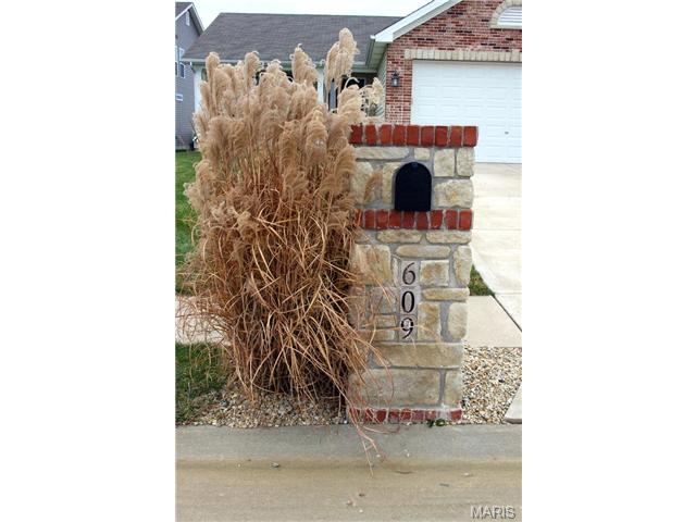 609 Lazy River Ct, O'fallon, MO 63366 photo 38