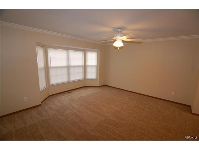 362 Carriage Trail Ct, O'fallon, MO 63368 photo 17