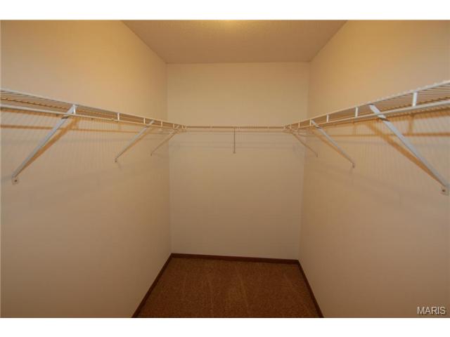 362 Carriage Trail Ct, O'fallon, MO 63368 photo 10