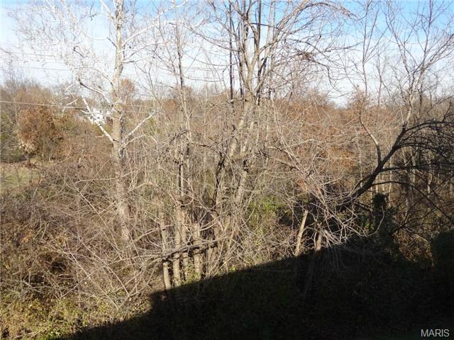 19 Forest Pine Ct, O'fallon, MO 63368 photo 24