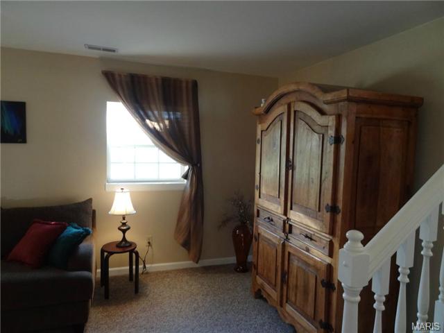 19 Forest Pine Ct, O'fallon, MO 63368 photo 16