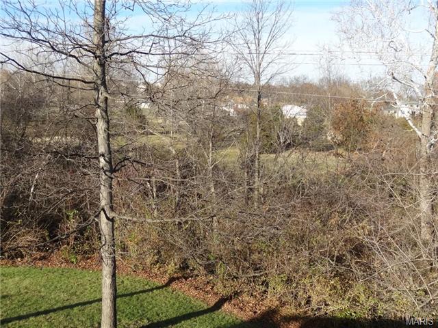 19 Forest Pine Ct, O'fallon, MO 63368 photo 23