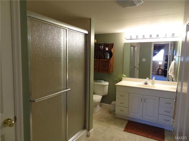 19 Forest Pine Ct, O'fallon, MO 63368 photo 18