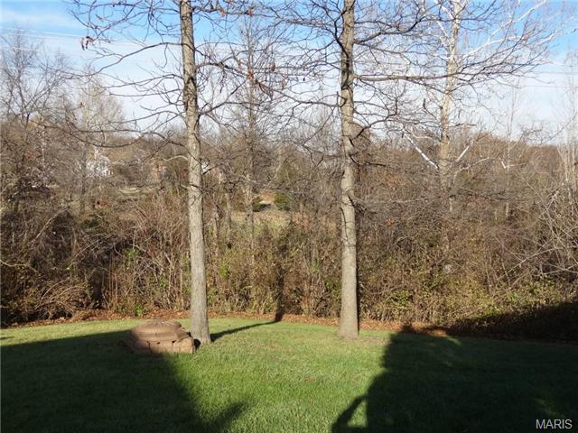 19 Forest Pine Ct, O'fallon, MO 63368 photo 22