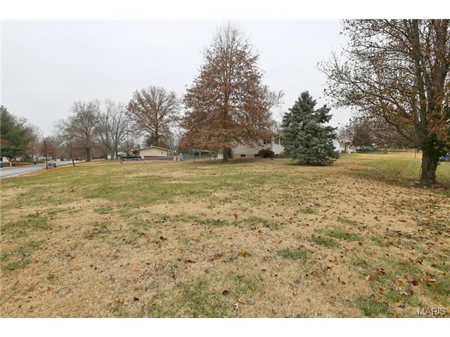 237 E Skyline Dr, Ballwin, MO 63011 photo 21