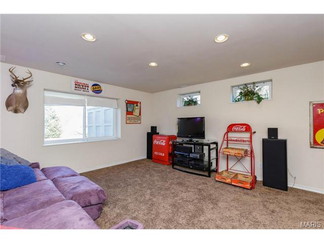 1028 Delmar Dr, O'fallon, MO 63366 photo 19