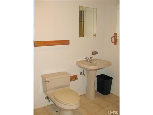 1430 Autumn Leaf Dr, Ballwin, MO 63021 photo 22