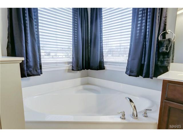 207 Fox Hvn, O'fallon, MO 63368 photo 21