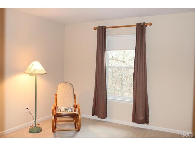 1628 Strecker Rdg, Ballwin, MO 63011 photo 30