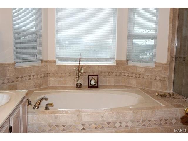 1628 Strecker Rdg, Ballwin, MO 63011 photo 38
