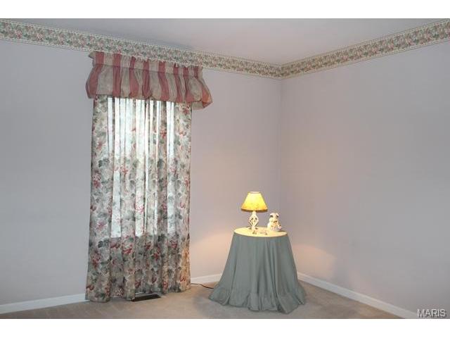 1628 Strecker Rdg, Ballwin, MO 63011 photo 28