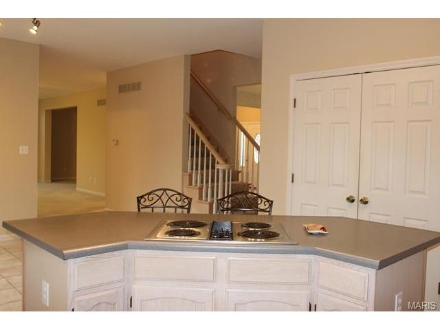 1628 Strecker Rdg, Ballwin, MO 63011 photo 22