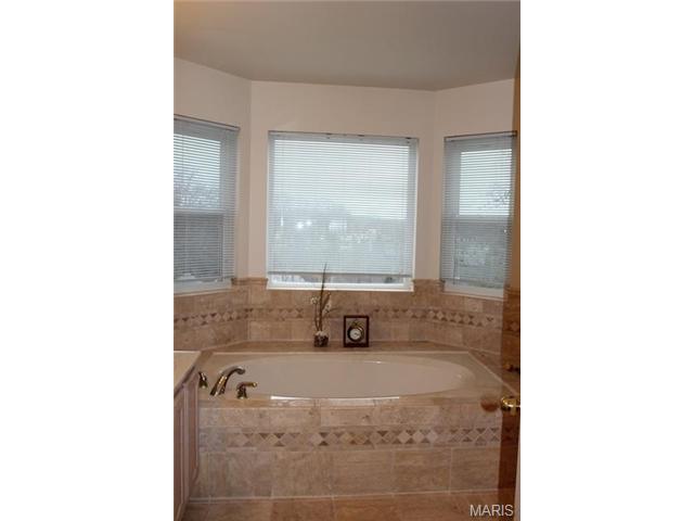 1628 Strecker Rdg, Ballwin, MO 63011 photo 37
