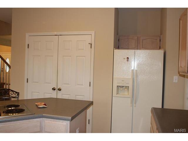 1628 Strecker Rdg, Ballwin, MO 63011 photo 23